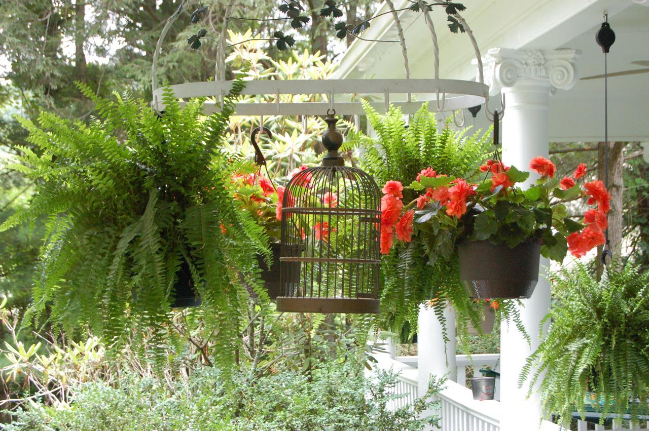 Mountain Laurel Inn Damascus Exterior photo